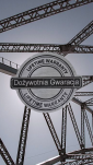 Żeliwne imadło warsztatowe  z obrotową podstawą 250mm - 3